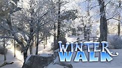 Winter Walk 3D Live Wallpaper and Screensaver