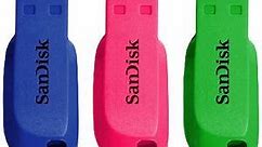 SanDisk 32GB Cruzer Blade USB Flash Drive 3 Pack Bright