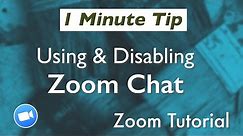 Zoom Tutorial: How To Use the Zoom Chat Feature