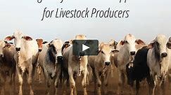 From Method to Market – Unlocking Ecosystem Service Opportunities for Livestock Producers