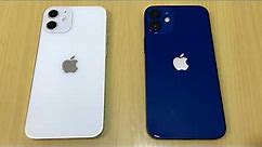 iPhone 12 mini Dummy & Real - Spot the Differences