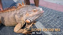 Sony RX100 M4 IV - 4K Video Test - Newport Beach CA
