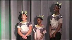 MAMS Summer Theatre, Shrek The Musical JR, 7 - 28 - 2023