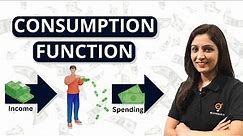 Consumption Function | Meaning, Schedule, Observation, Graph | Microeconomics | Ecoholics