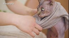 Bonaweite Sphynx Cat Clothes, Cat Sweaters for Cats Only, Turtleneck Sphynx Cat Sweaters, Cat Clothes for Cats Only, Svinx Hairless Cat Kitten Clothes Onesie for Christmas XS-2XL