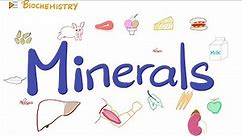 Your Body Needs Minerals (Trace Elements) | Diet and Nutrition