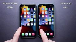 iPhone 13 Pro Green Unboxing and Camera Test