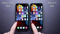 iPhone 13 Pro Green Unboxing and Camera Test