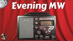 Tecsun S-8800 Shortwave SSB Radio Evening MW