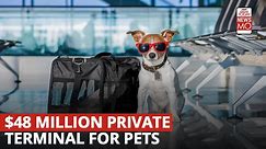 $48 million private terminal for animals at the Ark, JFK airport
