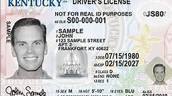 Online driver's license renewal now available in Kentucky