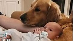 Newbornbaby - Puppy 🐶 love 💕 adorable