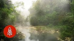 The Amazon’s Boiling River Kills Anything That Enters