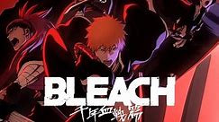Bleach Season 17: Release Date, Trailer, Plot, Cast and More