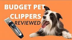 Budget Pet Clippers Tested and Reviewed - Best Dog Trimmers