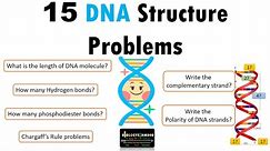 15 DNA Structure Problems and Step wise Solutions and Explanation || 15 DNA Structure Questions