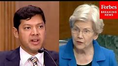 ‘Is There More Going On Here?’: Elizabeth Warren Interrogates Expert About Cause Of High Food Prices