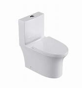Image result for Dual Flush Elongated Toilet