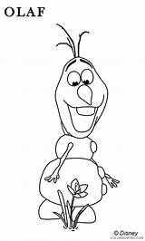 Olaf Coloring4free Coloring Pages Printable Film Tv Flower Found Friends sketch template