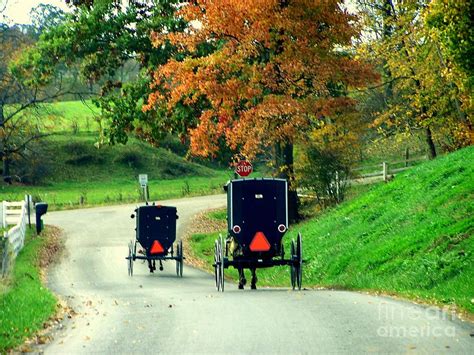 Amish Country In Autumn Ohio Holmes County Photograph By Charlene Cox