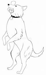 Hind Legs Dog Standing Drawing Sketch sketch template