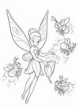 Firefly Coloring Printable Getcolorings Pages sketch template