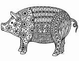 Pig Coloring Chinese Year Pages Zentangle Adult Sheets Detailed Pigs Sheet Years Colouring Mandala Animals Farm Animal Clip Line Books sketch template
