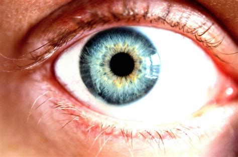 Eyes 101 Top 25 Most Common Eye Problems Diseases And Disorders