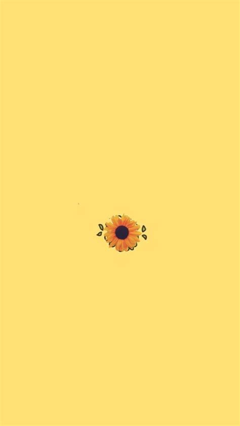 sunflower simple flower yellow inspo wallpaper achtergronden gele achtergrond bloem