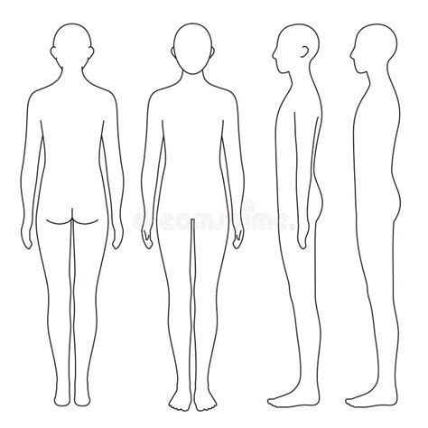 realistic human body outline