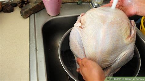 clean  turkey turkey holiday recipes cleaning