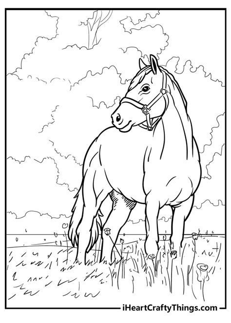 horses coloring pages  printable horse coloring sheets