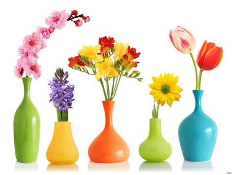 stylish flower arrangements  vases images