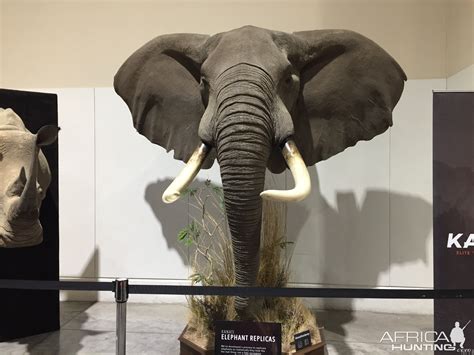 elephant head mount taxidermy africahuntingcom
