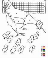 Nummer Boerderij Nombor Hen Ikut Mewarna Warna Ausmalbilder Ayam Fun Chicks Nummern Kleuren Worksheets Sheets Worm Belajar sketch template