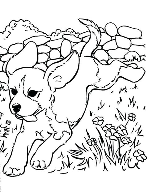 realistic puppy coloring pages  getdrawings