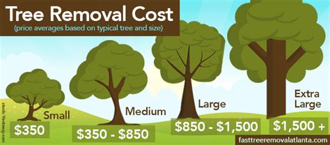 price  tree removal tree stump removal cost price guide boom sloping  pretoria east