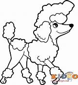 Poodle Coloring Kidocoloringpages Poodles sketch template