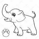 Elefante Olifant Poot Elefantes Afdrukken Dibujo Stockillustratie Orejas sketch template