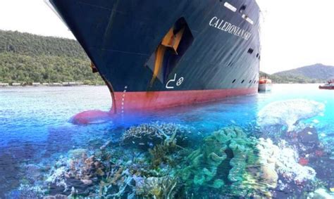 Indonesia To Penalize Cruise Liner For Raja Ampat Accident