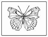 Butterfly Line Cliparts Coloring sketch template