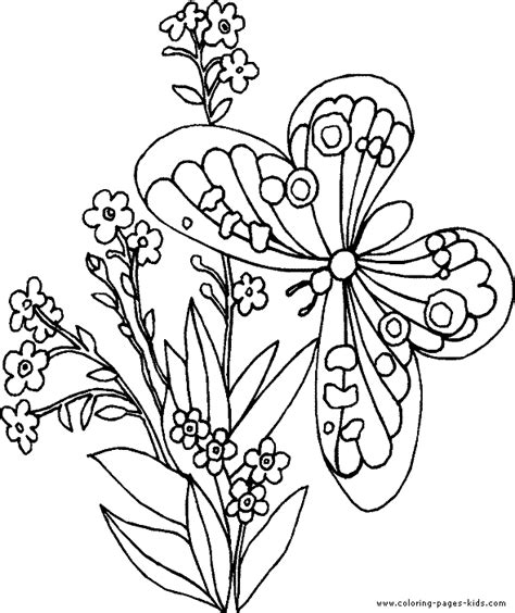 butterfly  flowers  printable coloring sheets  kids