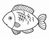 Pescado Pescados Dibujo Pesce Colorir Peixe Desenhos Mangiare Frito Peixinhos Pintado Comer Te Elpulpo Acolore Desenhar Peixinho Comida Squame Carne sketch template