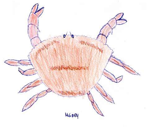 crab drawing weekend  site
