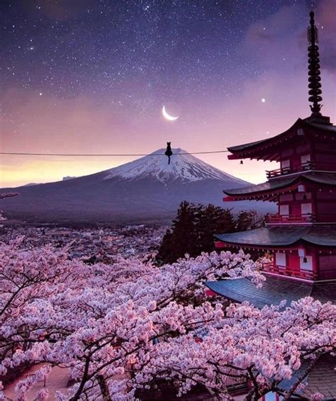 pin by vanja Đekić on spring japan landscape japan cherry blossom japan