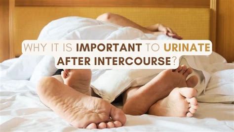 Why Is It Important To Urinate After Intercourse
