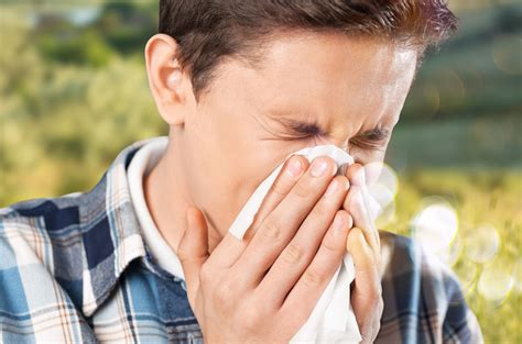 como evitar los sintomas de la alergia