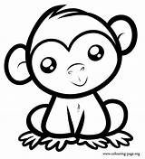 Coloring Pages Monkey Cute Print Color Kids sketch template
