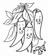 Pepper Coloring Pages Coloringtop sketch template