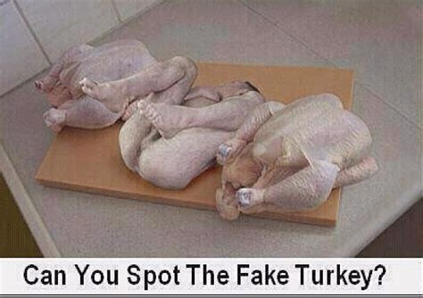turkey funny pictures funny american humor